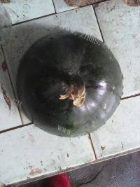 猪肉香菇冬瓜汤做法图解1)