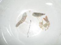 香气逼人的虾仁蒸蛋做法图解2)