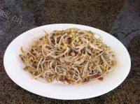 家常菜凉拌绿豆芽