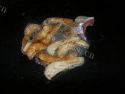 家常菜鱼腩焖豆腐