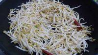 家常菜素炒绿豆芽