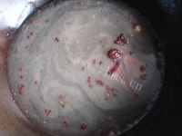 自制卤牛肉做法图解6)