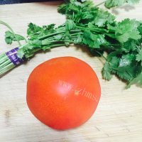 DIY西红柿炖牛腩的做法图解四