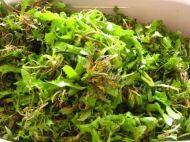 荠菜猪肉水饺做法图解5)