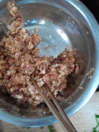 美味的猪肉豆角包子做法图解5)