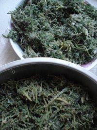 家常菜蒸白蒿做法图解11)