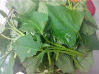 家常菜蒜香红薯叶做法图解3)