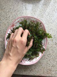 意犹未尽的炸花椒芽做法图解3)