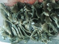 家常菜炒海带做法图解1)
