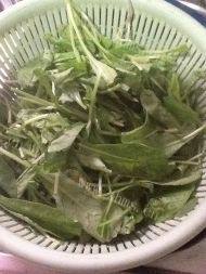 清炒萝卜菜做法图解1)