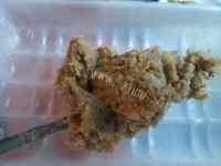 健康美食绿豆饼做法图解7)