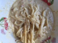 美味的萝卜丝饼做法图解5)