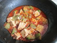 诱人的丝瓜烧豆腐做法图解10)