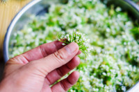 自制韭菜花酱做法图解1)