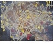 美味的黄豆芽炒粉条做法图解4)