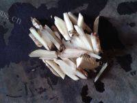 家常菜豆豉蒸鱼做法图解3)