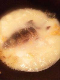 美味的鲫鱼豆腐汤做法图解11)