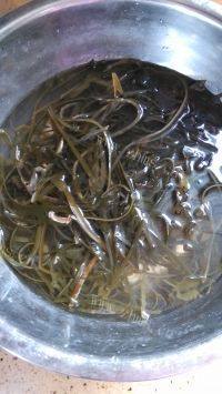 诱人的香辣海带丝做法图解1)