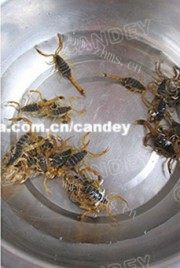 油炸蝎子做法图解1)