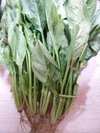 自制炒菠菜做法图解1)