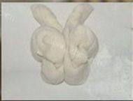诱人的蝴蝶卷做法图解6)