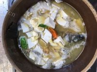 珍馐美味的鲫鱼豆腐汤做法图解7)