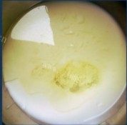自制芒果酸奶蛋糕做法图解1)