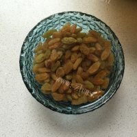 好吃的羊排鹰嘴豆抓饭做法图解4)