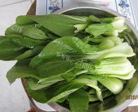 家常菜蚝油油菜做法图解1)
