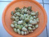 家常菜清炒蚕豆做法图解1)