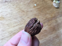 易做的把子肉做法图解7)