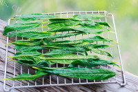 美味的芝麻叶茶做法图解3)