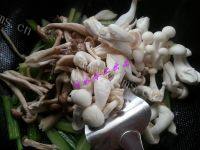 家常菜芹菜炒蘑菇做法图解6)