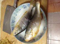 常吃不腻的红烧大黄鱼的做法图解二