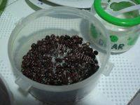 十分诱人的蜜红豆做法图解4)