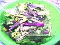 健康美食之爆炒紫菜薹的做法图解一