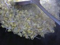 诱人的清炒豆芽做法图解7)
