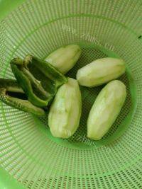 家常菜凉拌菜瓜做法图解1)