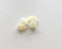 麻辣猪蹄做法图解6)
