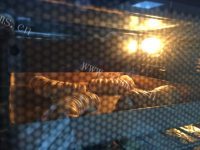 自制毛毛虫面包做法图解13)