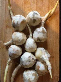 美味油炸茨菇片做法图解1)