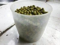 「首发」绿豆粥做法图解1)