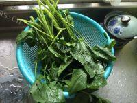 凉拌菠菜（简易版）做法图解2)
