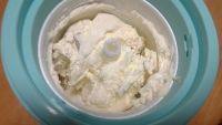 好吃的葡萄干酸奶冰淇淋的做法图解六