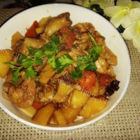 鸡肉炖土豆胡萝卜