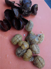 好吃的栗子大枣玉米茬子粥做法图解2)