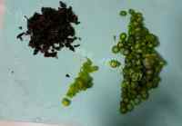 荤素搭配芦笋牛肉山药包做法图解1)