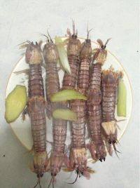 美味的清蒸虾爬子