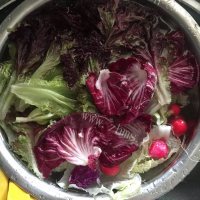 五味俱全的牛油果蔬菜沙拉做法图解1)