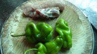 家常菜菜椒炒肉做法图解1)